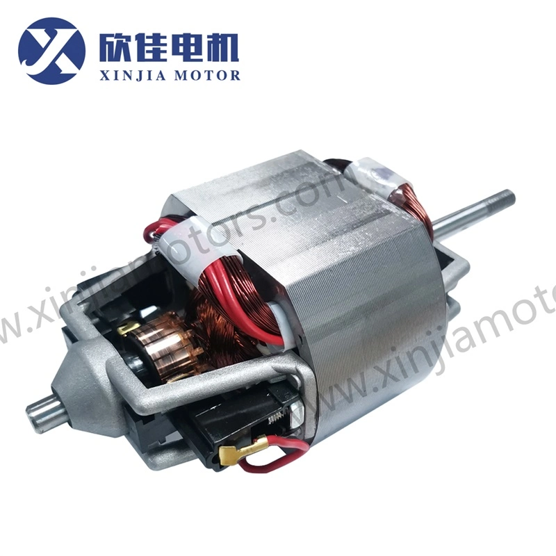 81 Series Juicer Motor with AC 220V/100V