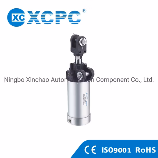 メーカーXckシリーズの空気圧ロックピストンシリンダー